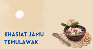 Khasiat Jamu Temulawak